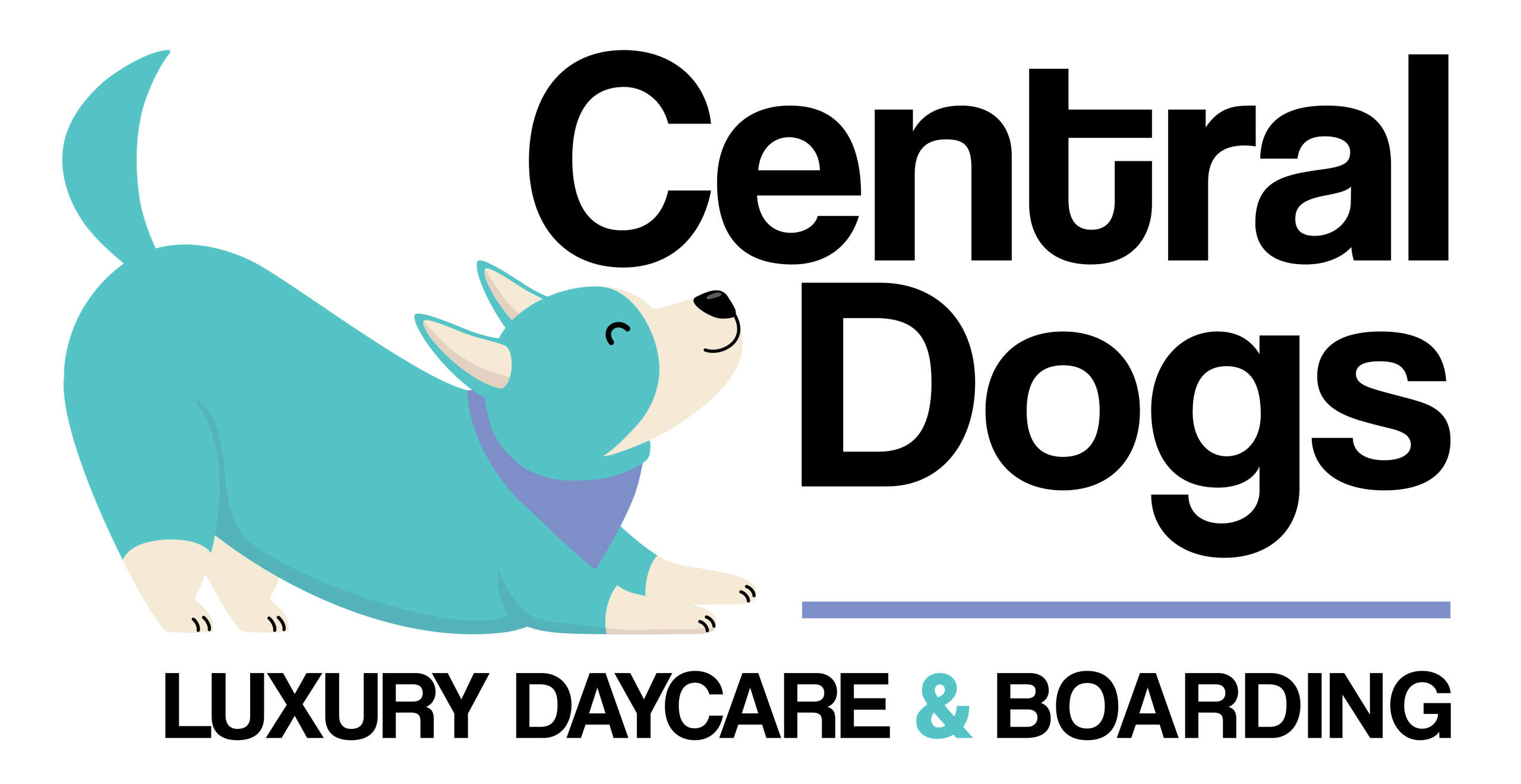 Central Dogs – Luxury Day Care and Boarding